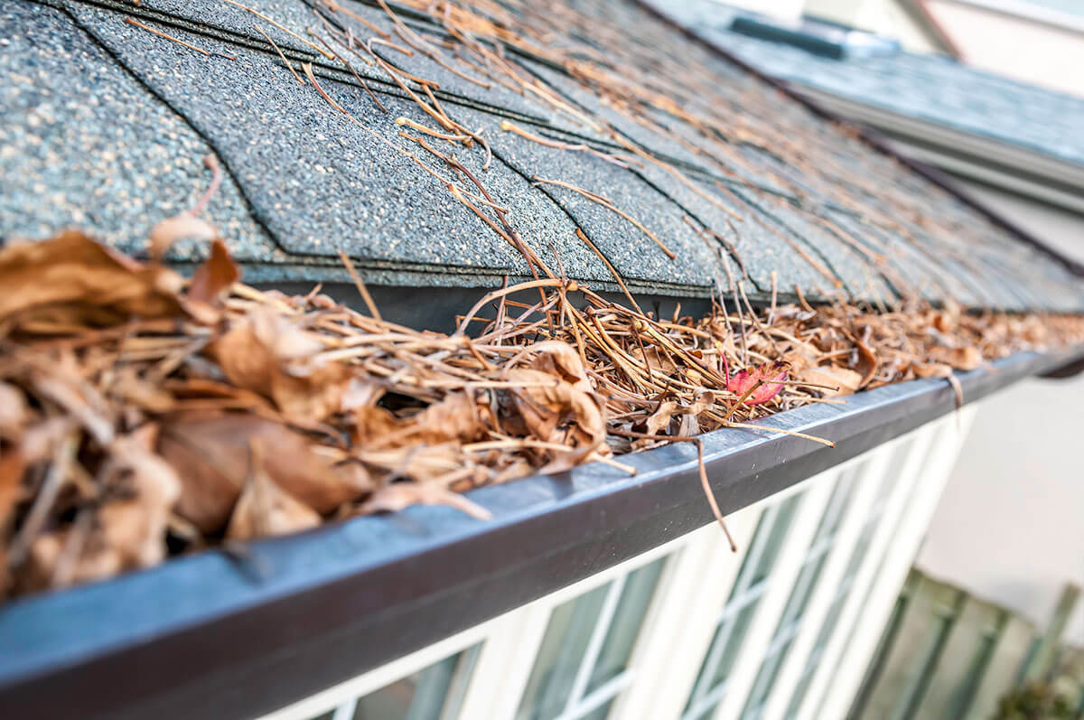 Why Are My Gutters Leaking? Common Causes and Solutions